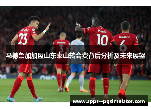 马德鲁加加盟山东泰山转会费背后分析及未来展望