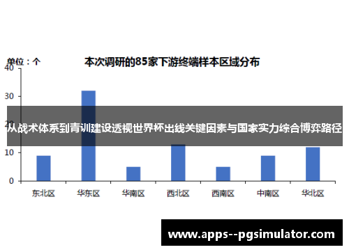 从战术体系到青训建设透视世界杯出线关键因素与国家实力综合博弈路径
