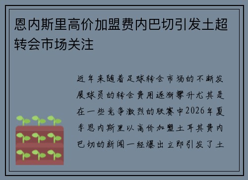 恩内斯里高价加盟费内巴切引发土超转会市场关注