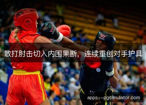 散打肘击切入内围果断，连续重创对手护具