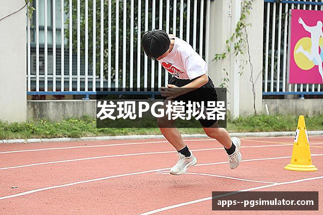 发现PG模拟器
